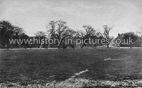 Village Green, Writtle, Essex. c.1920's